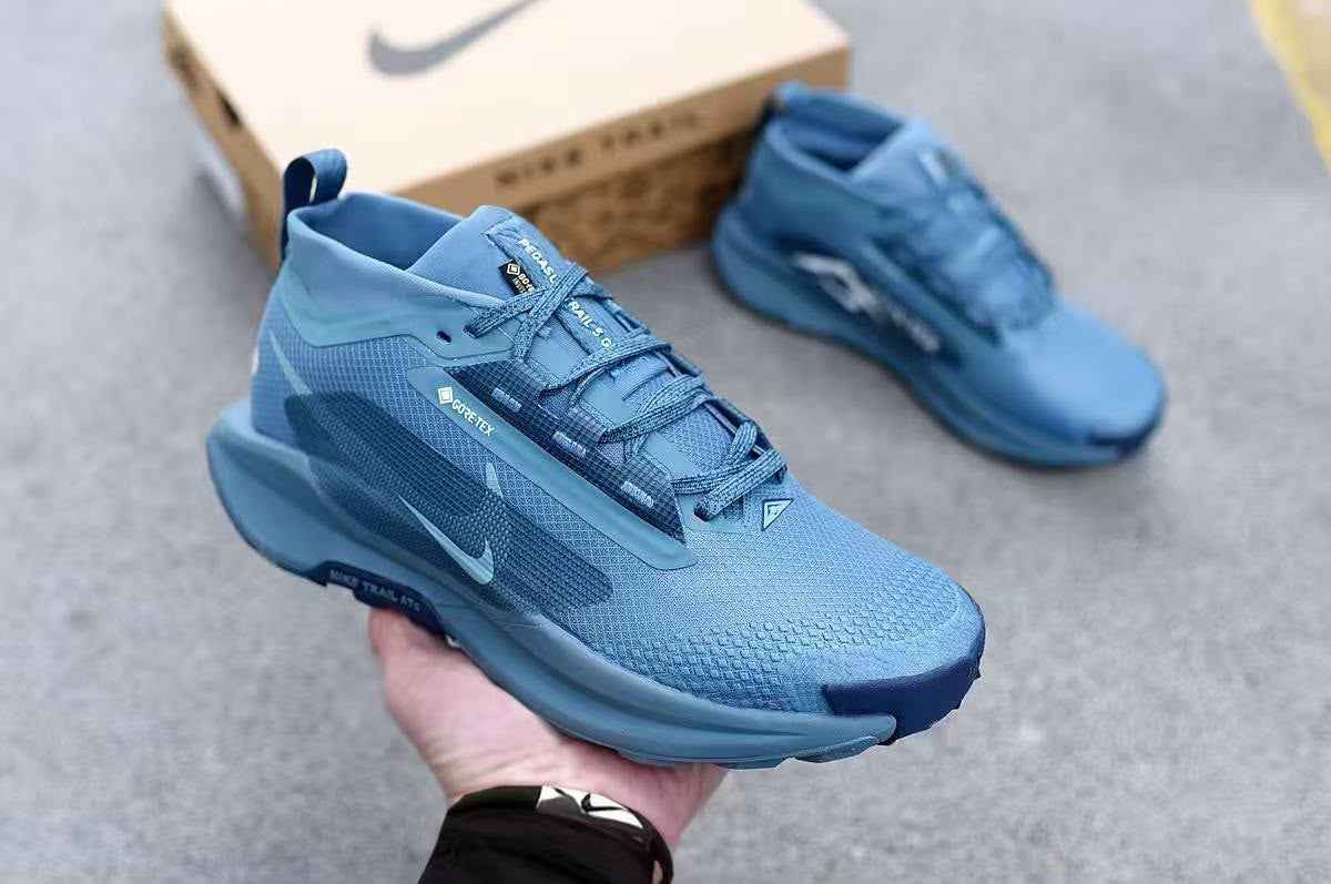 Nike Pegasus Trail 5 GORE-TEX