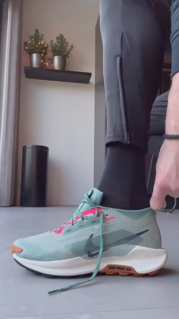 Nike Pegasus Trail 5 GORE-TEX